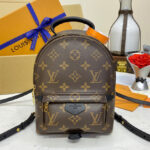 Louis Vuitton Palm Springs Mini M44873 Brown